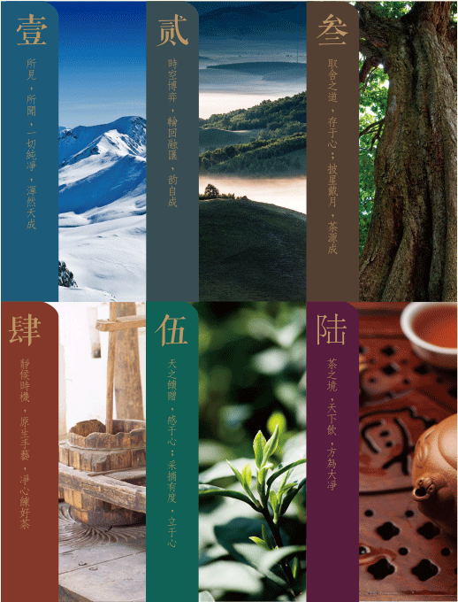 壹：所见，所闻，一切纯净，浑然天成
贰：时空博弈，轮回融汇，韵自成
叁：取舍之道，存于心；披星戴月，茶源成
肆：静候时机，原生手艺，净心练好茶
伍：天之馈赠，感于心；采摘有度，立于灵
陆：茶之境，天下饮，方为大净