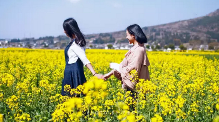 轻阅读|春天养生,喝茶看花