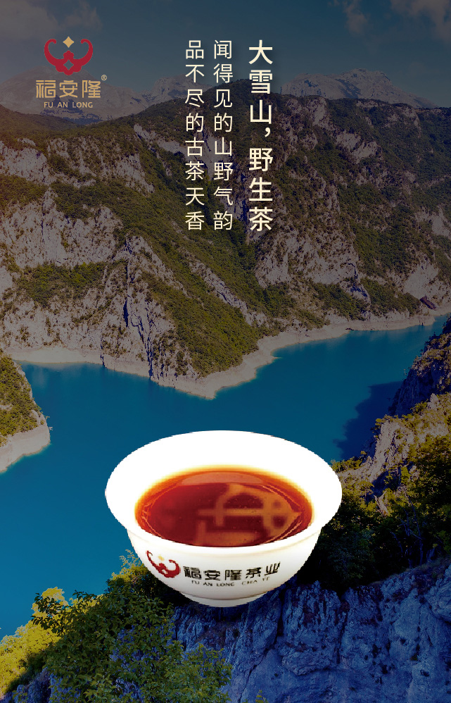 福安隆大雪山，野生茶，Oh, yeah！配图6